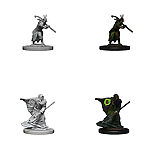 WizKids – D&D Nolzurs Marvelous Miniatures: Elf Male Druid – Wave 4