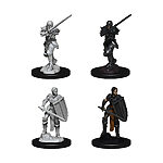 WizKids – D&D Nolzurs Marvelous Miniatures: Female Human Fighter – Wave 9