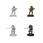 WizKids – D&D Nolzurs Marvelous Miniatures: Human Male Bard – Wave 4