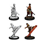 WizKids – D&D Nolzurs Marvelous Miniatures: Male Half-Elf Monk – Wave 10