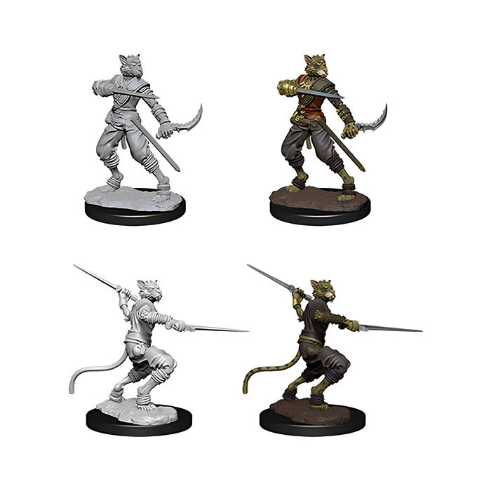 WizKids – D&D Nolzurs Marvelous Miniatures: Male Tabaxi Rogue – Wave 7