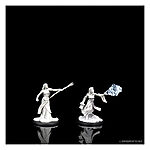 Wizkids – D&D Nolzurs Marvelous Miniatures: Female Elf Sorcerer – Wave 12