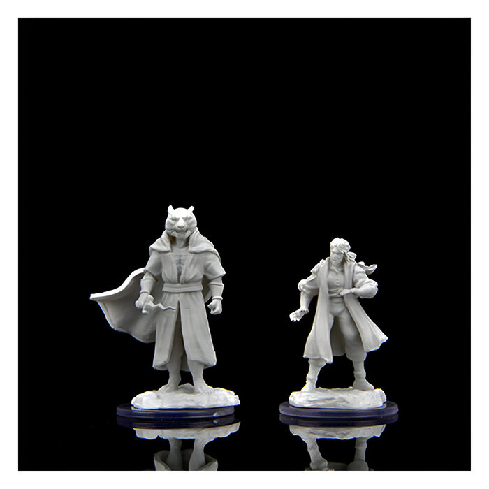 Wizkids – Critical Role Miniatures: Male Human Sorcerer Merchant & Tiger Demon