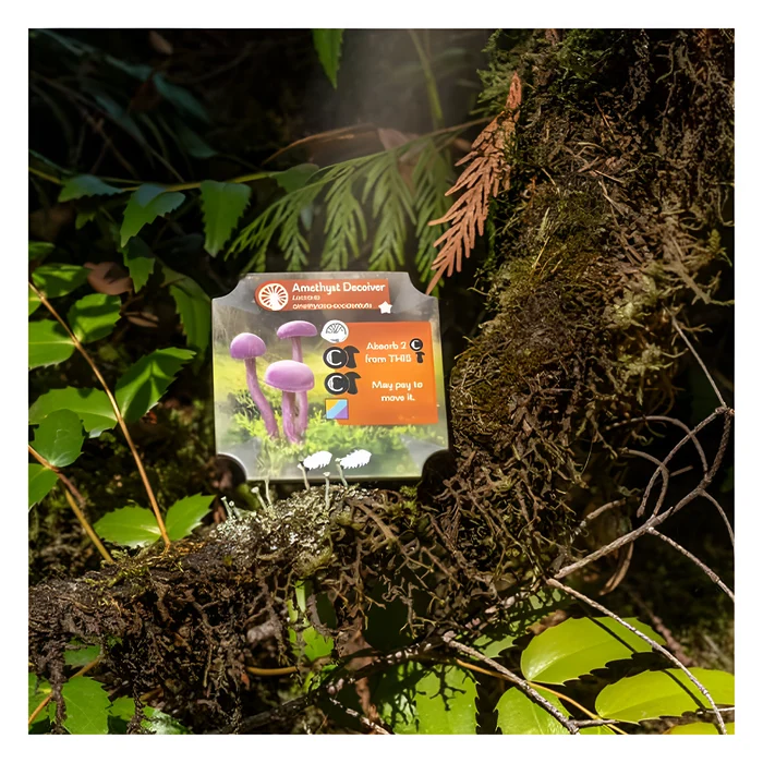Undergrove 6