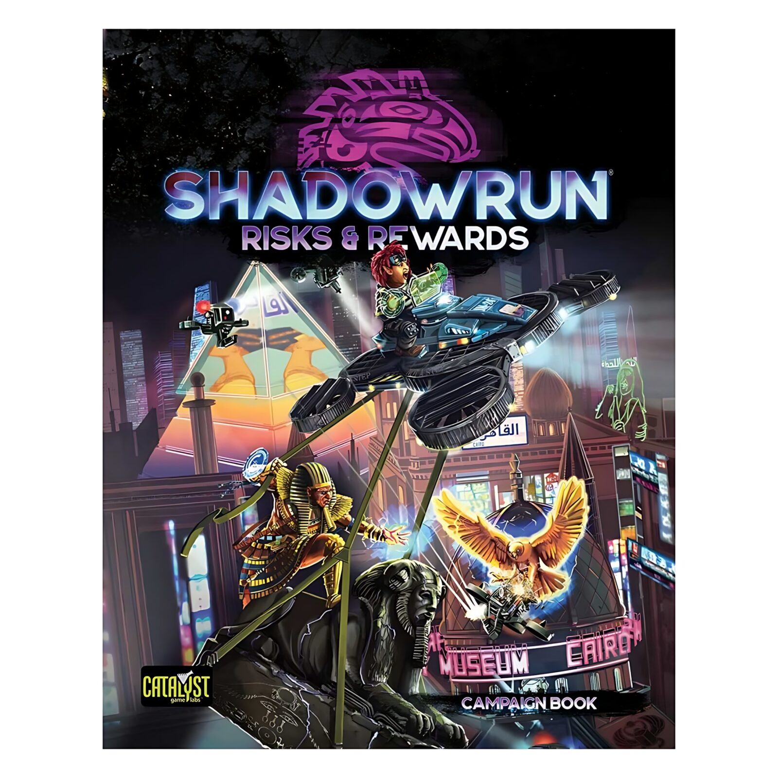 Shadowrun Risks & Rewards