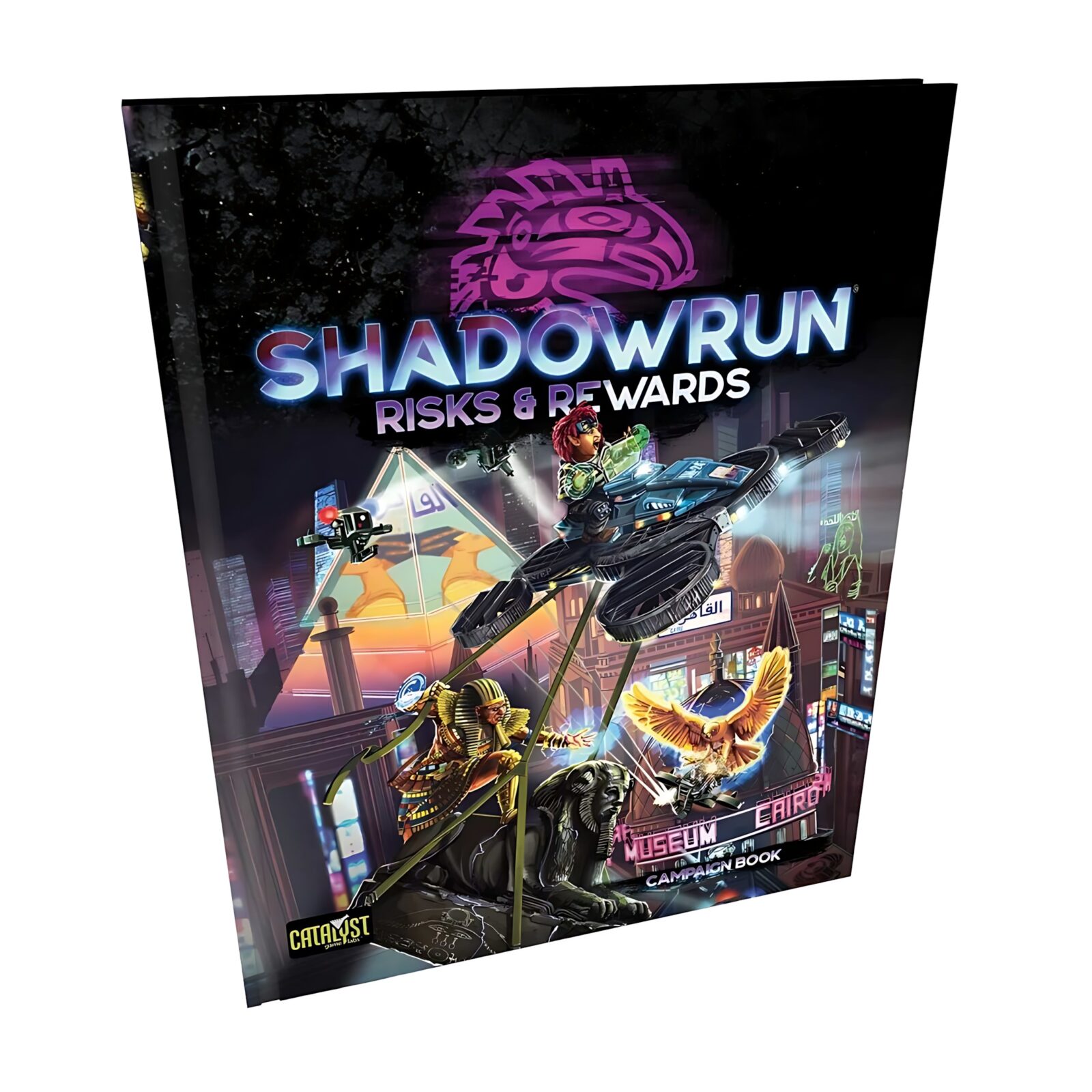 Shadowrun Risks & Rewards 3