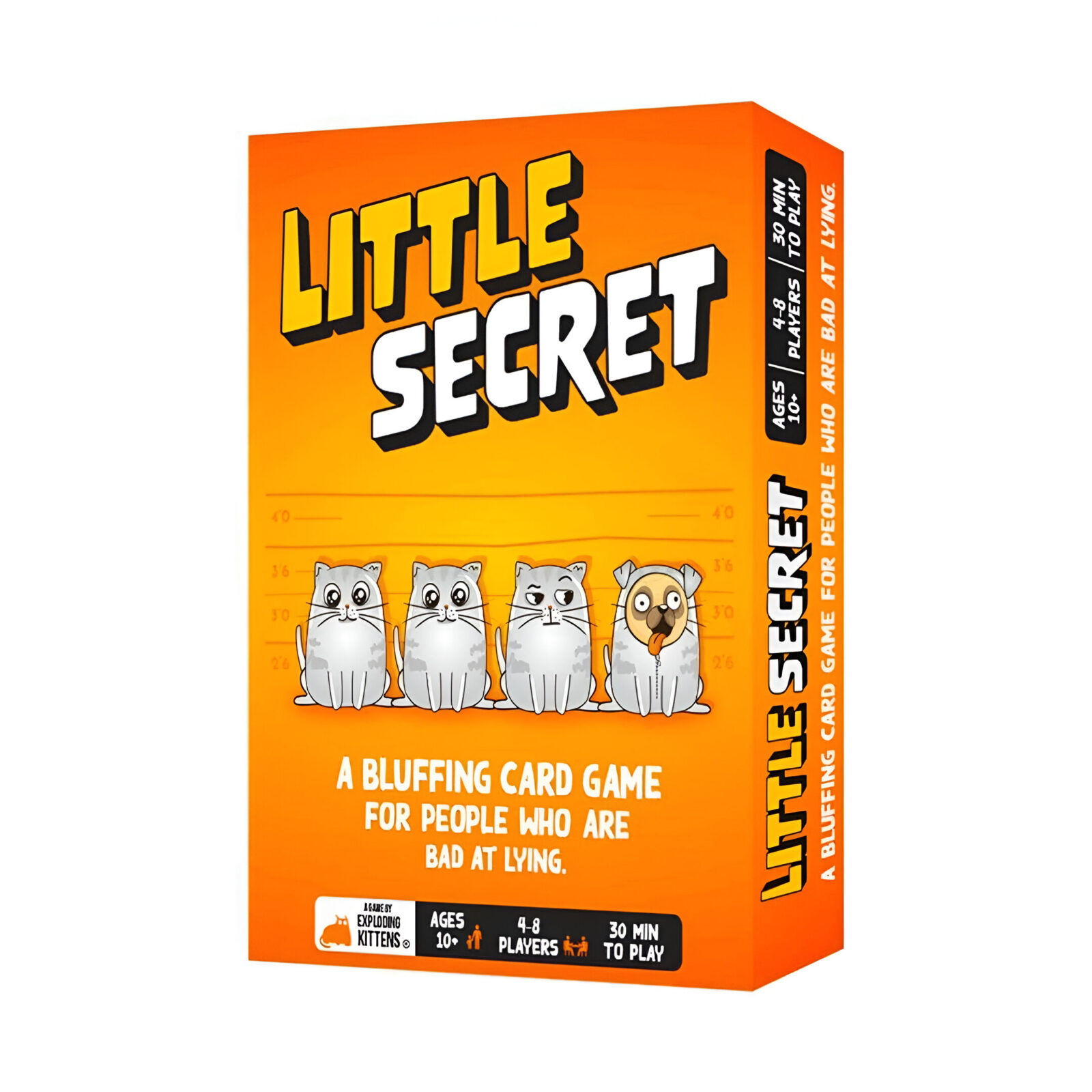 Little Secret