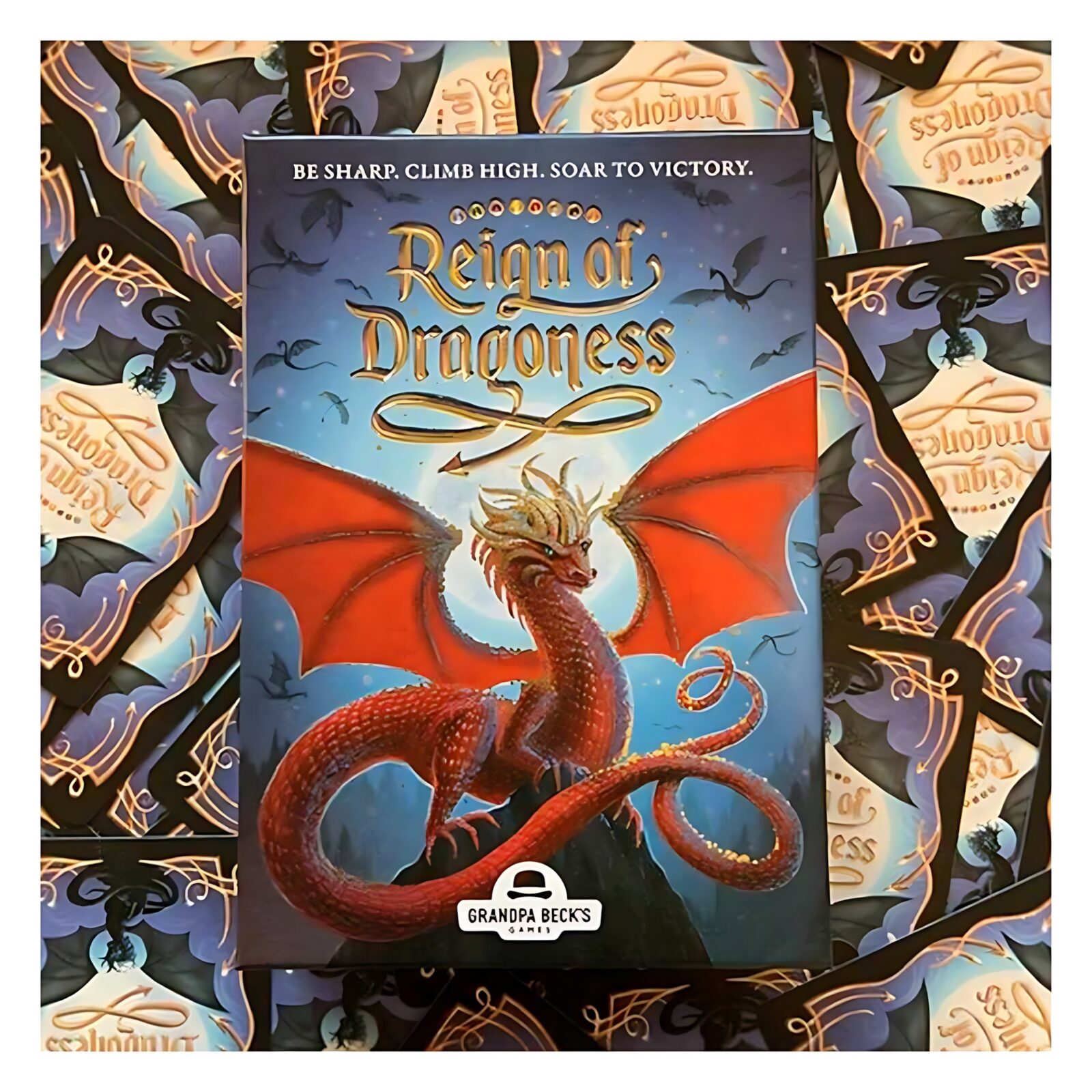 Reign Of Dragoness Reign Of Dragoness