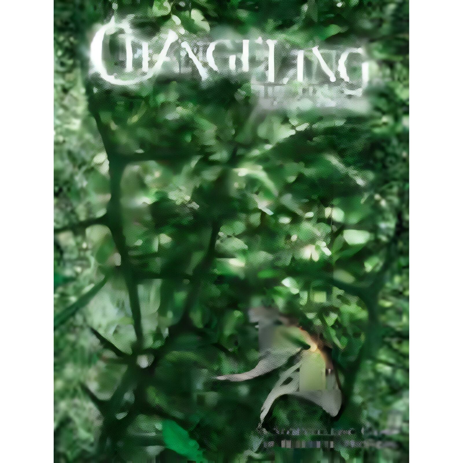 Changeling: The Lost Second Edition