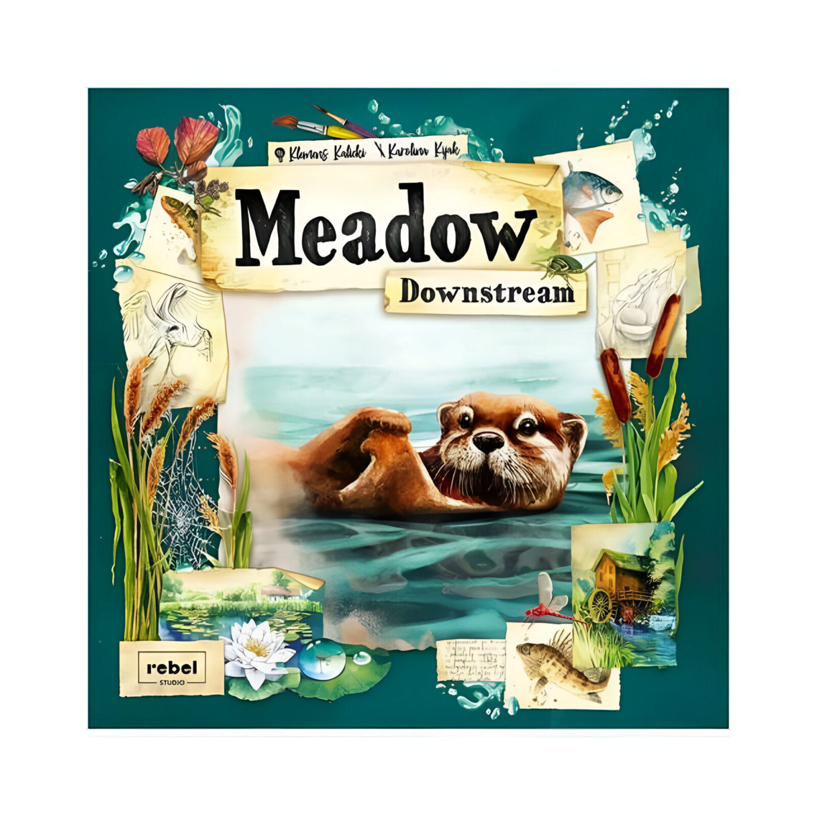 Meadow: Downstream Expansion