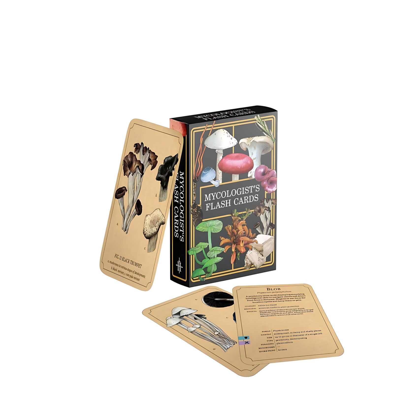 Mycologist’s Primer Flash Cards Mycologist’s Primer Flash Cards