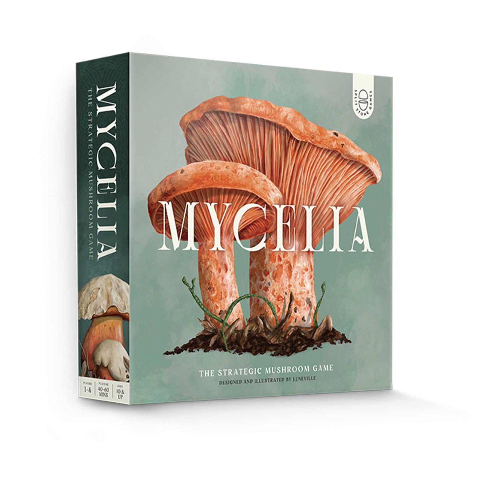 Mycelia