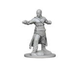 Pathfinder Deep Cuts Unpainted Miniatures: Human Male Monk (2 Packs) 5