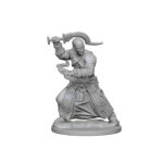 Pathfinder Deep Cuts Unpainted Miniatures: Human Male Monk (2 Packs) 6