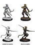 D&D Nolzur’s Marvelous Unpainted Miniatures: Male Tabaxi Rogue