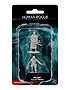 D&D Nolzur’s Marvelous Unpainted Miniatures: Male Human Rogue