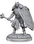 D&D Nolzur’s Marvelous Unpainted Miniatures: Dragonborn Clerics