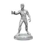 D&D Nolzur’s Marvelous Unpainted Miniatures: Headless Monster (2 Packs) 6