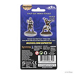 Pathfinder Deep Cuts: Half-Elf Monk Female 6