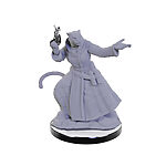 Critical Role Unpainted Miniatures: Lucien Tavelle & Cree Deeproots 10