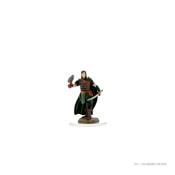D&D Icons of the Realms Premium Figures: Male Elf Ranger (6 Packs) 5