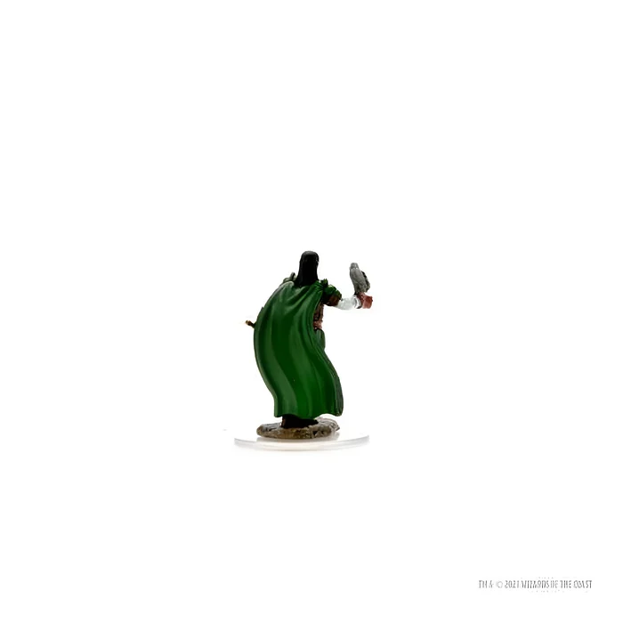 D&D Icons of the Realms Premium Figures: Male Elf Ranger (6 Packs) 6