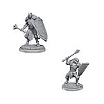 WizKids – D&D Nolzurs Marvelous Miniatures: Dragonborn Clerics – Wave 18