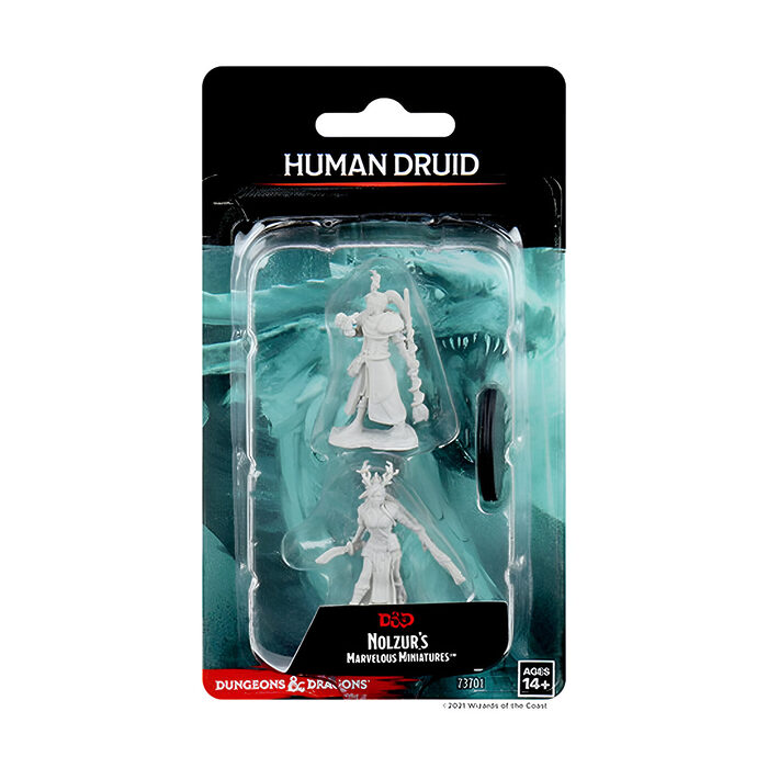 WizKids – D&D Nolzurs Marvelous Miniatures: Female Human Druid – Wave 9