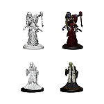 WizKids – D&D Nolzurs Marvelous Miniatures: Green Hag & Night Hag – Wave 6