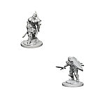 WizKids – D&D Nolzurs Marvelous Miniatures: Human Male Paladin – Wave 3