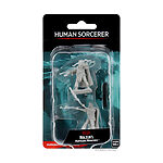 WizKids – D&D Nolzurs Marvelous Miniatures: Human Male Sorcerer – Wave 1