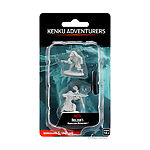 WizKids – D&D Nolzurs Marvelous Miniatures: Kenku Adventurers – Wave 10