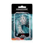 WizKids – D&D Nolzurs Marvelous Miniatures: Male Human Cleric – Wave 8