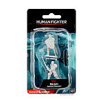 WizKids – D&D Nolzurs Marvelous Miniatures: Male Human Fighter – Wave 8