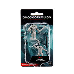 Wizkids – D&D Nolzurs Marvelous Miniatures: Male Dragonborn Paladin – Wave 12