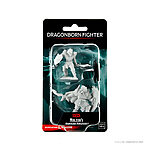 WizKids – D&D Nolzurs Marvelous Miniatures: Dragonborn Fighter Male – Wave 15