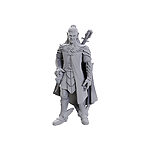 Wizkids – Critical Role Miniatures: Dorian Storm – Wave 23